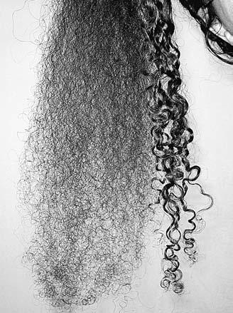 Combing 69 so, you ll either break your comb or cause your brush to become hopelessly tangled in the web of fuzz you ve created by combing the curls that way.