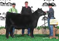 2016 / TATTOO: 6011D BKMT DANCE LESSONS 6012 Heifer / 75% Maine-Anjou / 09.22.2016 / TATTOO: 6012D LOT 11 - PHAF & THF This female is a favorite of many.