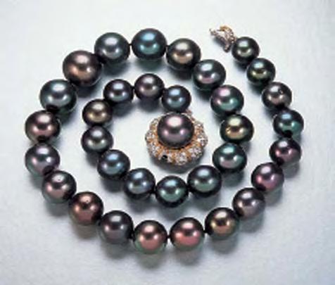 first entered the market in the mid-1970s. This strand of black cultured pearls (12 16 mm) is courtesy of Buccellati. Photo by Robert Weldon, GIA.