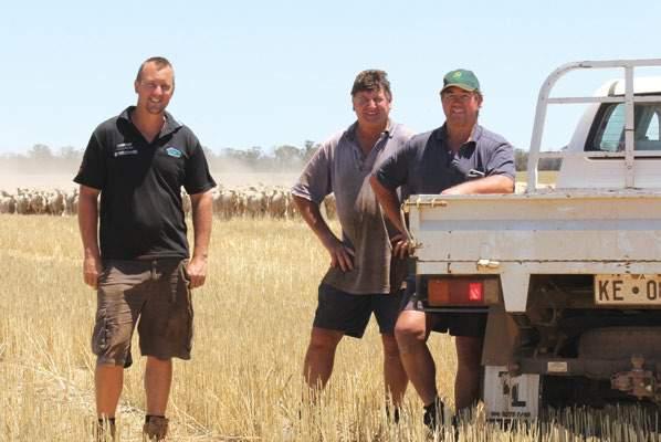 26 ON FARM Mixed farmers Mitchell, Phillip and Eric Innes from Kellerberrin in the central wheatbelt of WA.