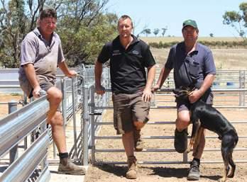 ON FARM 27 When they were shearing, Eric says he and Phillip had witnessed many clips that were bright, fine and softer handling than their own wool, so they made it their mission to improve their