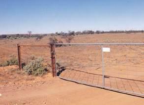 30 ON FARM EFFECTIVE LONG-TERM RABBIT CONTROL AT THACKARINGA The release of rabbit haemorrhagic disease (RHD) in 1995 and subsequent ripping of rabbit warrens removed virtually all rabbits from