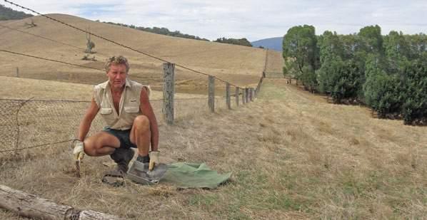 Woolgrower Chris Box setting a trap on his property.