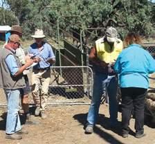 The course is run in groups of five to seven woolgrowers who meet six times in a year with the support of a trainer.