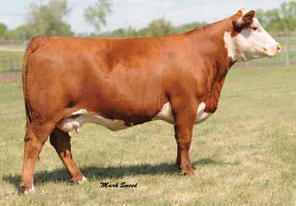 Donors Tee-Jay 707B Gemini 16G ET Dam of Lot 5 425X Son of Lot 5 that sold in the 2011 TH bull sale 5 Lot 5 TH 16G 20N Gemini 89T TH 16G 20N GEMINI 89T {HYF,IEF,DLF} P42779363 Calved: Feb.
