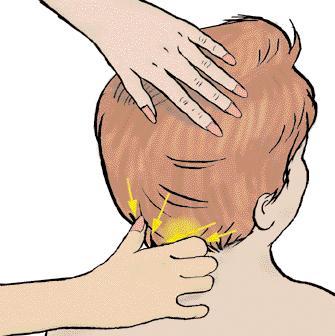 Massage NECK MASSAGE Lift the client s head and massage the neck