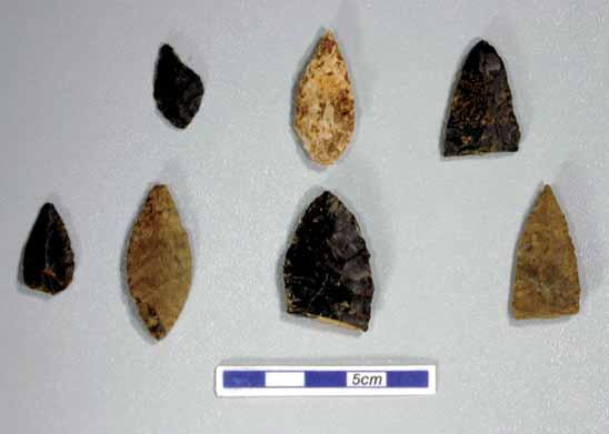 Recent Archaeological Discoveries on National Road Schemes 2004 Illus 11 Flint arrowheads found within some of the outer ditch sections of the Magheraboy Neolithic enclosure (Archaeological