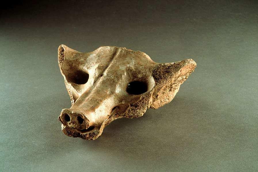 *Camelid Sacrum in the shape of a canine 14,000-7000 B.C.E.