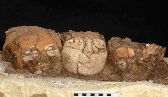 Skulls with plaster and shell from the Pre-Pottery Neolithic B, 7,000-6,000 B.C.E.