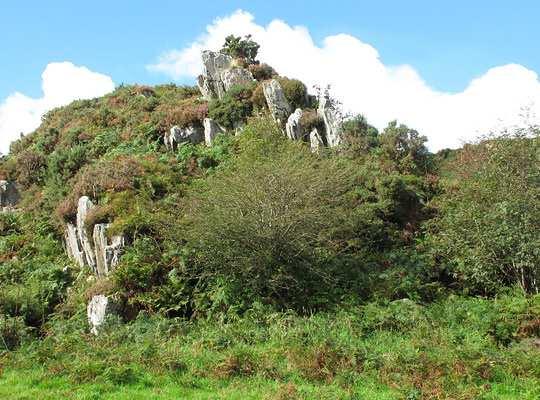 Bluestone outcrops in the Preseli Hills of