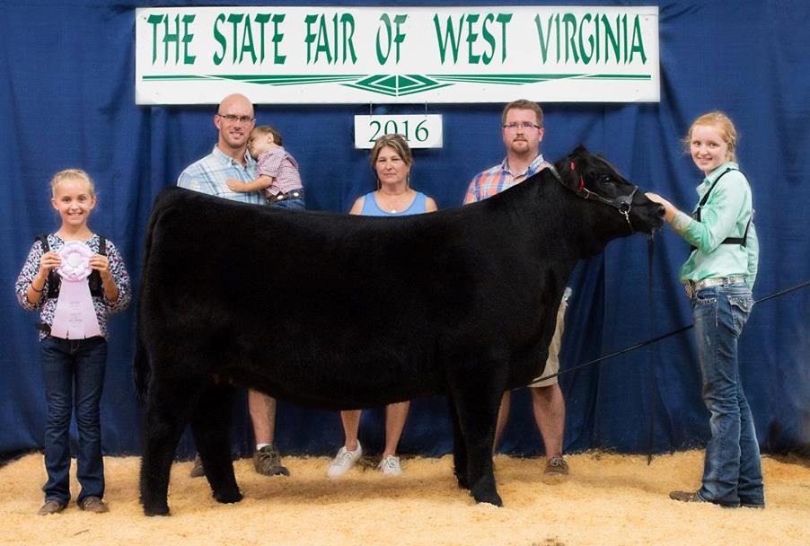 MFC Lady Lola 1512 Owned by Natalie Phillips 2016 MAJAC Reserve Late Junior Division 2 Champion 2016 Eastern Regional Junior Angus Show Reserve Late Junior Champion 2016 West Virginia