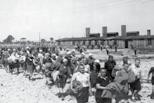 Primary Sources Able Bodied for Work Auschwitz Album Photo 51 Primary sources provide first-hand testimony or direct evidence concerning a topic under investigation.