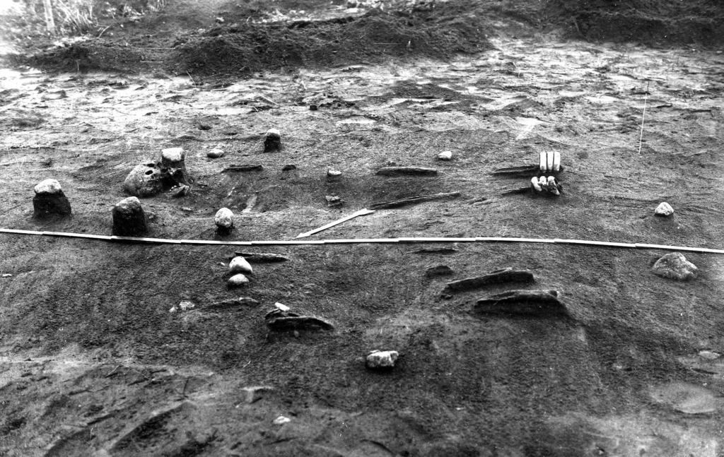 Leg rings in archaeological material from Latvia Fig. 1. Burial with leg rings in situ from the cemetary at Makašānu Salenieki (Barrow No 24, grave A). 1 pav.