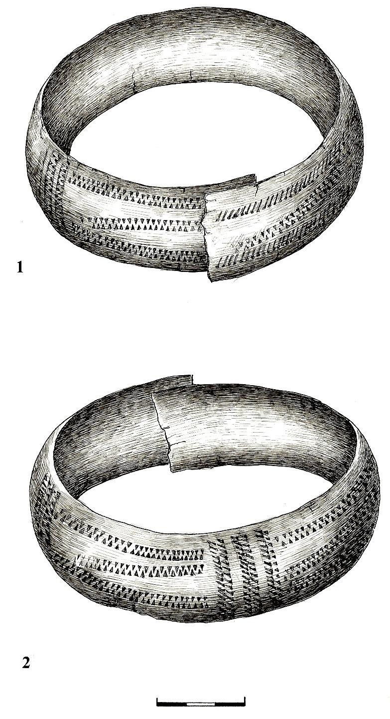 Leg rings in archaeological material from Latvia Fig. 6. Leg rings from the cemetery at Viļaka (A 10148:1 2). 6 pav.