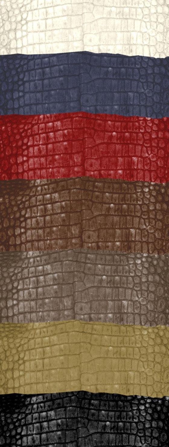 GENUINE EXOTIC, CROCODILE Hailing from the Pacific Islands, Africa and Australia and long considered nature s most beautiful leather, crocodile is one of the favorite and perennial exotic skin