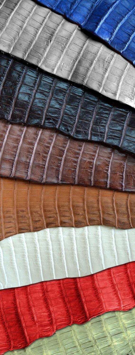 GENUINE EXOTIC, ALLIGATOR Indigenous only to the Southeastern United States, American alligator skin is a much sought-after darling of luxury product designers.