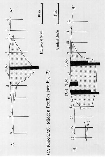 44 Sutton Fig. 3. Profiles (A - A' and B - B', see Fig.