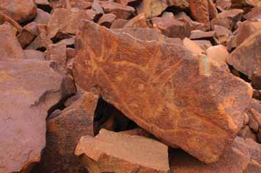 Australian heritage 1 2 Patricia Anderson examines the extraordinary prehistoric rock art of Western Australia 3 The world s oldest palimpsest The Burrup Peninsula in Western Australia, known to the