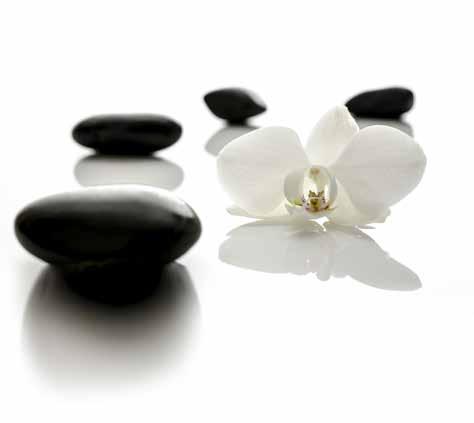 Signature Treatments Shiseido Japanese Ritual 4 hrs 4480 In the privacy of ShuiQi s `Royal Spa Suite, this exclusive treatment begins with an infused rose petal foot bath and a Japanese inspired body