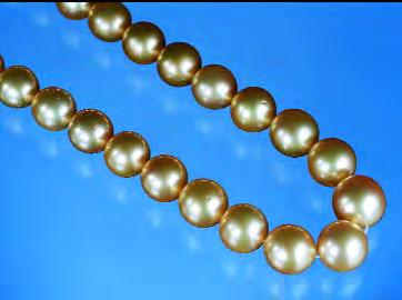 Figure 1. This strand of loosely strung, predominantly treated-color golden South Sea cultured pearls (11 to 14 mm in diameter) was characterized in this study. Photo by Maha Tannous.