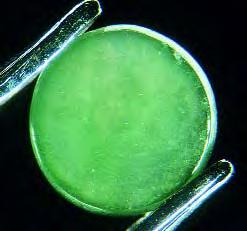 Recently Shyamala Fernandes of the Gem Testing Laboratory in Jaipur, India, asked this contributor for assistance with identifying three translucent green cabochons (figure 27) that are