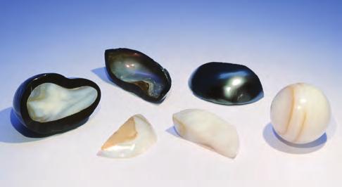 Figure 5. This was one of the large Tahitian black cultured pearls with a baroque-shaped nucleus. Photo by O. Segura. Figure 6.
