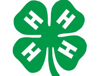 CREDITS AND ACKNOWLEDGEMENTS 4-H CLOTHING CAPERS 4H CCL 21(DLN 112) was developed through a team effort of the Florida 4-H Youth Development Program and the Department of Family, Youth and Community