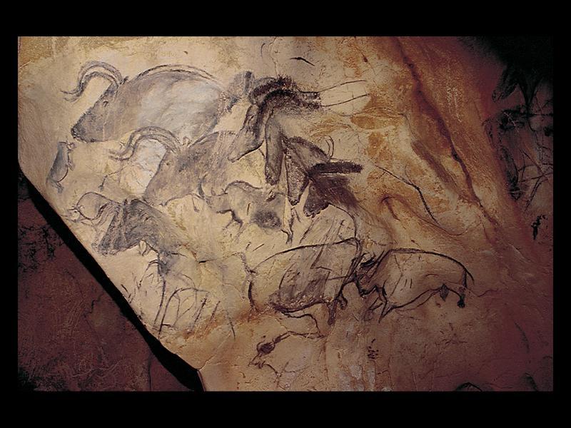 Web Resource: The Cave of Chauvet Pont D'Arc Wall painting of animals, Chauvet Cave, Pont d'arc, France. c.28,000 BCE.