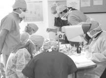 The ISHRS annual Live Surgery Workshop was held in Orlando this March 2 5, 2005.