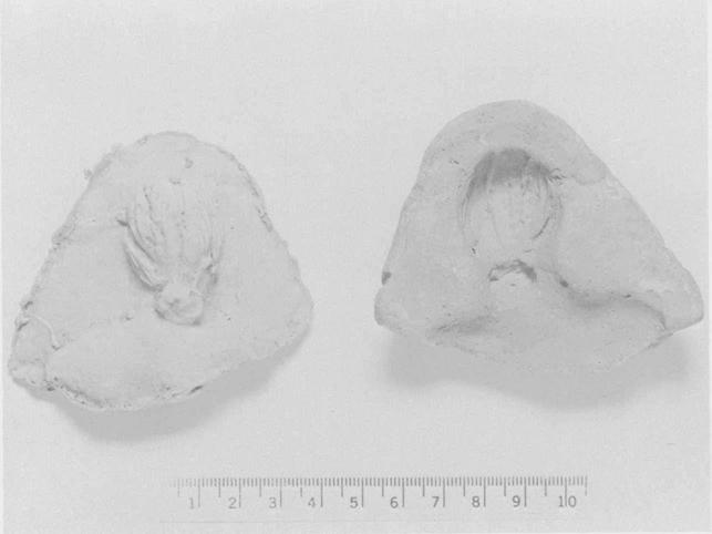 17 21 Tanagra-type female (fragment),