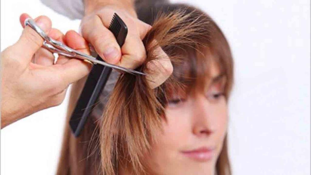 Sections Straight Cut U Cut V Cut Blunt Cut Advanced Hair Styles and Cuts Razor