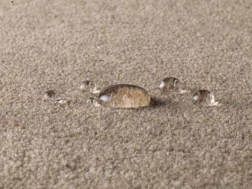 carpet care Stain proofing treatments When deciding whether or not to stain proof your new carpet, please consider that stain proof treatments: Should be applied by a professional company with a good