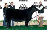 This cow family produced the Reserve Female at the 2016 Iowa State Fair, for the Wellman family.
