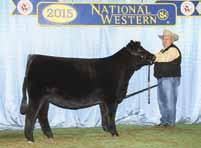 Earn up to $1000 sale credit for your prize-winning purebred or foundation Simmental heifers from the