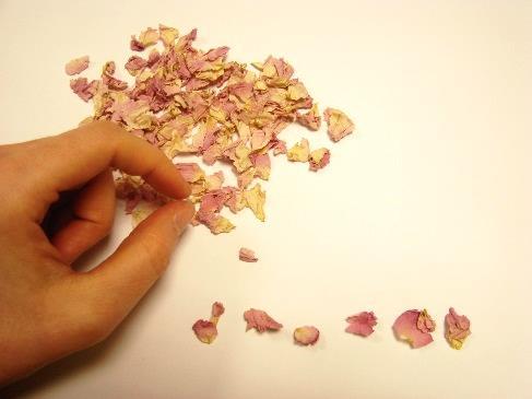 g Calendula: Chemillé Traceability Petals, flowers and