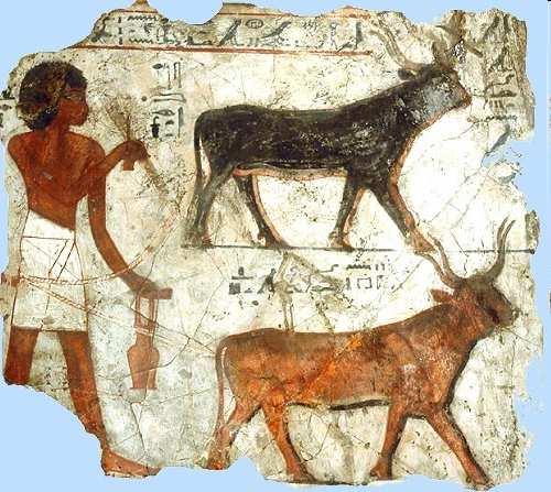 Herdsmen kept animals along the Nile marshes.
