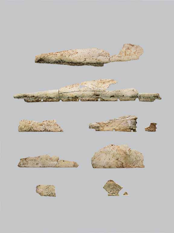 V.76 Fragments of ivory inlay (cats. 21a d; 23a, b; 24a, b) 24b 21c 24a 21a 23b 23a 21b 21d Fragments of inlay 21a. Fragment of inlay from central panel (Figures V.76, V.77) Elephant ivory 9 L. 3¼ in.