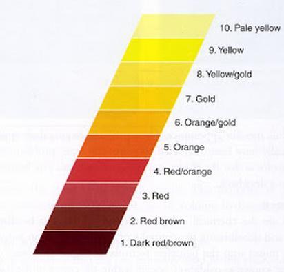 This is a chart of the underlying pigments for each level when you