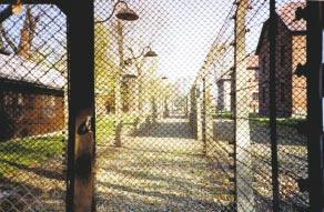 Auschwitz, 1991 26  crematoria, 1991 24 ` View