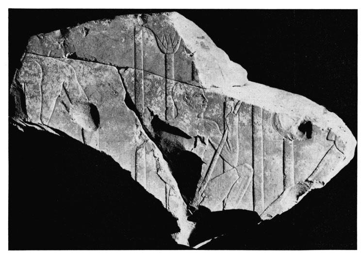 XLVII, 26 BULLETIN OF THE MUSEUM OF FINE ARTS Fig. 7. Fragment of Theban Tomb Relief Way Collection Saite Period Psamtik, on a granite relief in the British Museum.