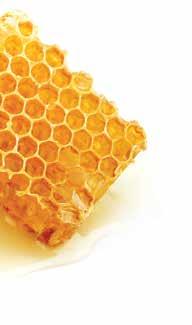 + life balance / bee products pure gold Busy honey bees are a true golden treasure of nature.
