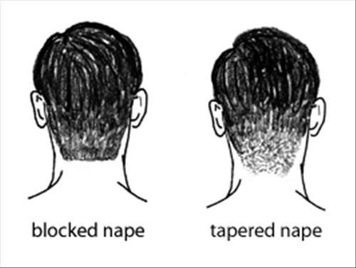INCORRECT CORRECT Blocked Nape versus Tapered Nape (or, blocked neck edge versus tapered neck edge).