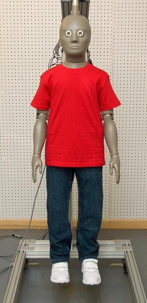 a Thermal Manikin Instrument: Adult or child thermal manikin in an environmental chamber Specimen number and size: 1 set of garments sized to fit the manikin Cost: