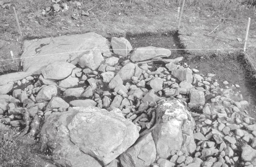 Figure 6. Cairn 8. The stone circle north of the central stone, level 3, from the south. National Board of Antiquities/ E. Raike 1997. ous sizes, part of which were burnt.