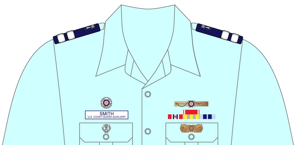 Ribbons, Name Tags, Devices, & Insignia Auxiliary Devices & Badges on
