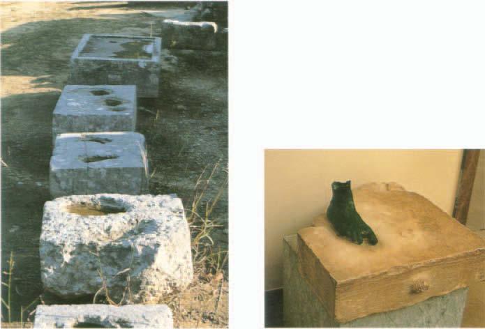 Figure 32 Olympia. Statue bases near the Echo Stoa. Photo: Author. Figure 33 Limestone statue base with one bronze foot still attached with lead tenon, and cutting for the other foot, third century B.