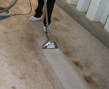 Proprietary carpet protection system The best way to avoid stains altogether is to keep dirt and spills from settling into the carpet and becoming a stain.