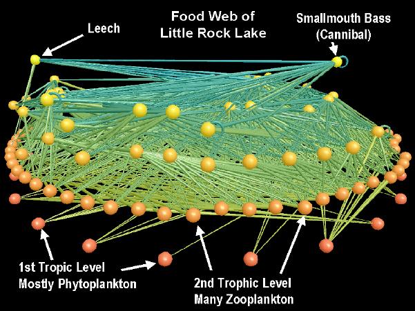 Biological networks: Food Web Nodes: trophic species Links: trophic interactions R.