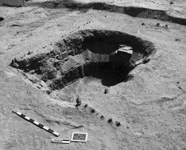 THE ELITE PREDYNASTIC CEMETERY AT HIERAKONPOLIS 163 Fig. 4. Tomb 31 and the preserved wood posts of the fence enclosure (photo by A. Pieri). disturbed.