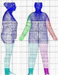 102 Body shape can influence one s experience with apparel fit and individuals wearing the same size may experience different fit issues due to body shape (Connell et al.